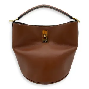 16 Teen Brown Bucket Bag in Calfskin, Gold hardware