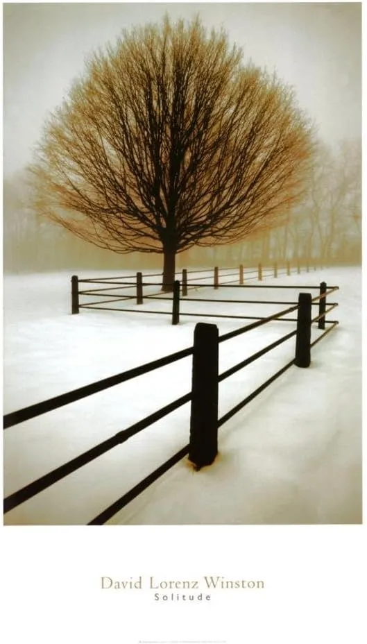(24x36) David Lorenz Winston Solitude Photo Print Poster Art Poster Print by David Winston, 24x36