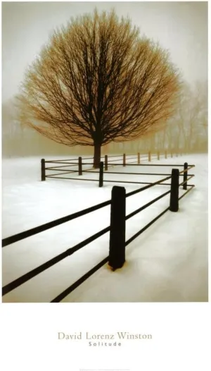 (24x36) David Lorenz Winston Solitude Photo Print Poster Art Poster Print by David Winston, 24x36