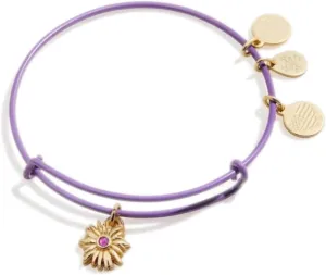 Alex and Ani Symbols And Tokens Expandable Bangle For Women, Mini Brights, Charms, Shiny Finishes, 2 To 3.5 In