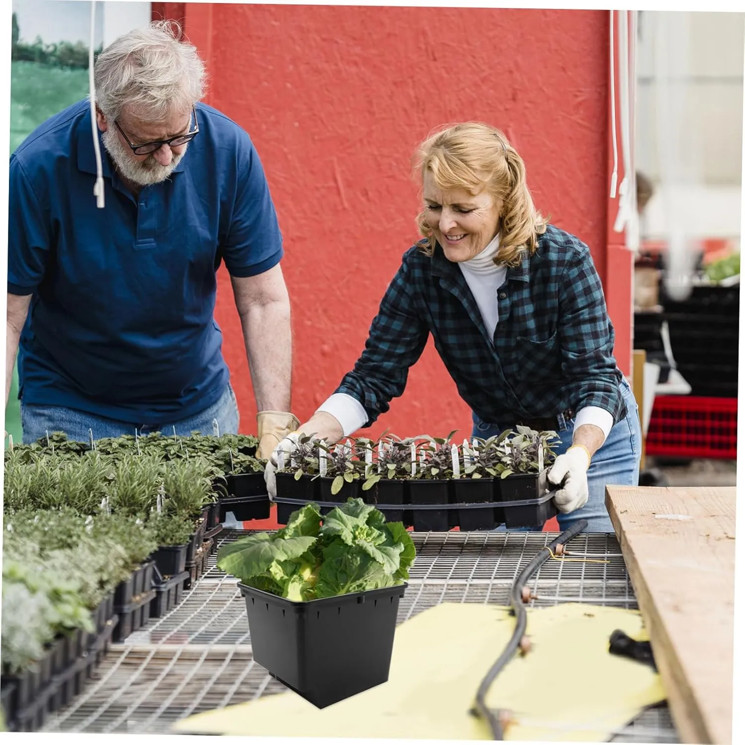 BESPORTBLE Emerging Agricultural Equipment Hydroponic Dutch Buckets for Greenhouse Easy Installation Stable Soilless Cultivation