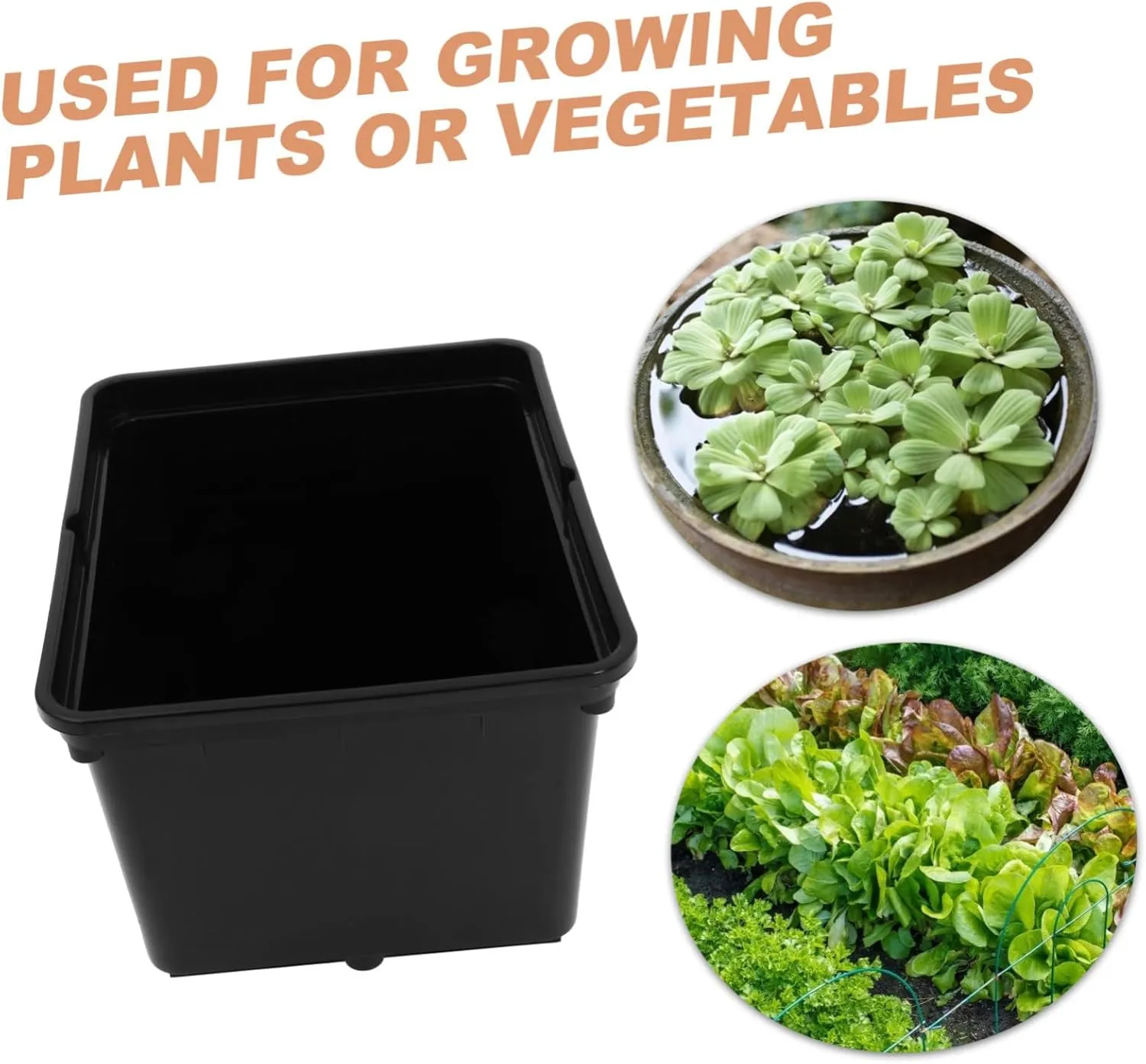 BESPORTBLE Emerging Agricultural Equipment Hydroponic Dutch Buckets for Greenhouse Easy Installation Stable Soilless Cultivation