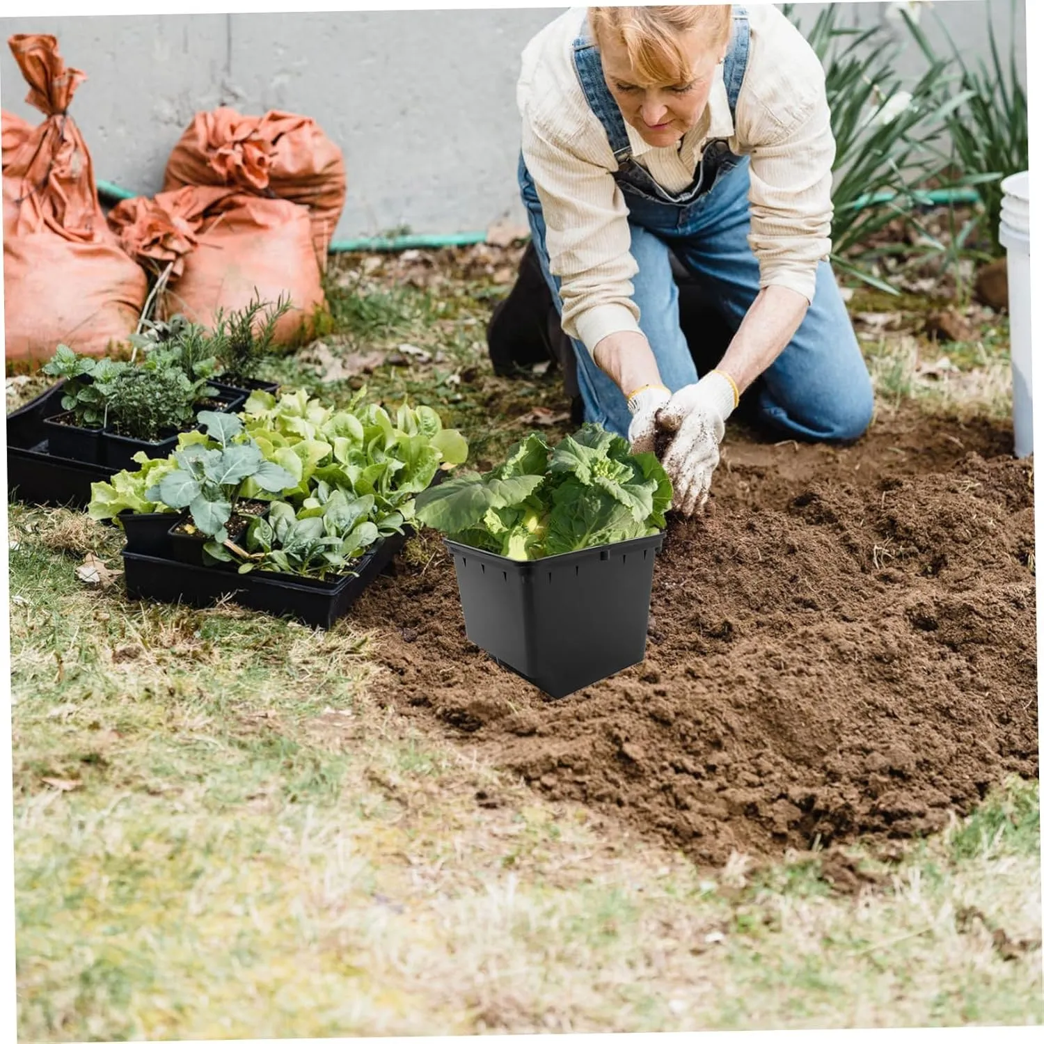 BESPORTBLE Emerging Agricultural Equipment Hydroponic Dutch Buckets for Greenhouse Easy Installation Stable Soilless Cultivation