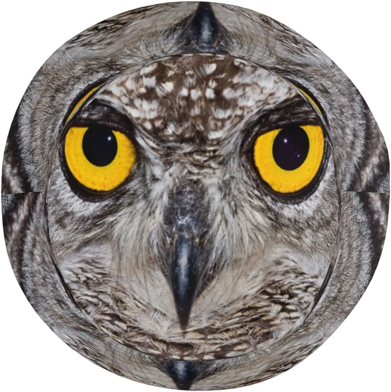 Colorful Owl Head Bucket Hat Fisherman Hat Beach Cap Sun Travel Hat Outdoor Cap for Men Women Adults