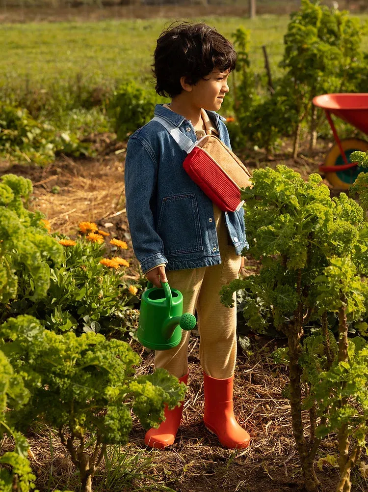 fannypack small | farmhouse | corduroy | harvest moon   ladybird red