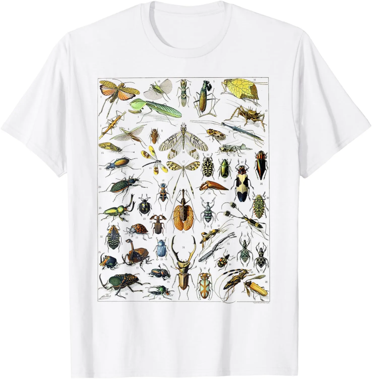 Insect Bug Entomology Print Gift Bug Print T-Shirt