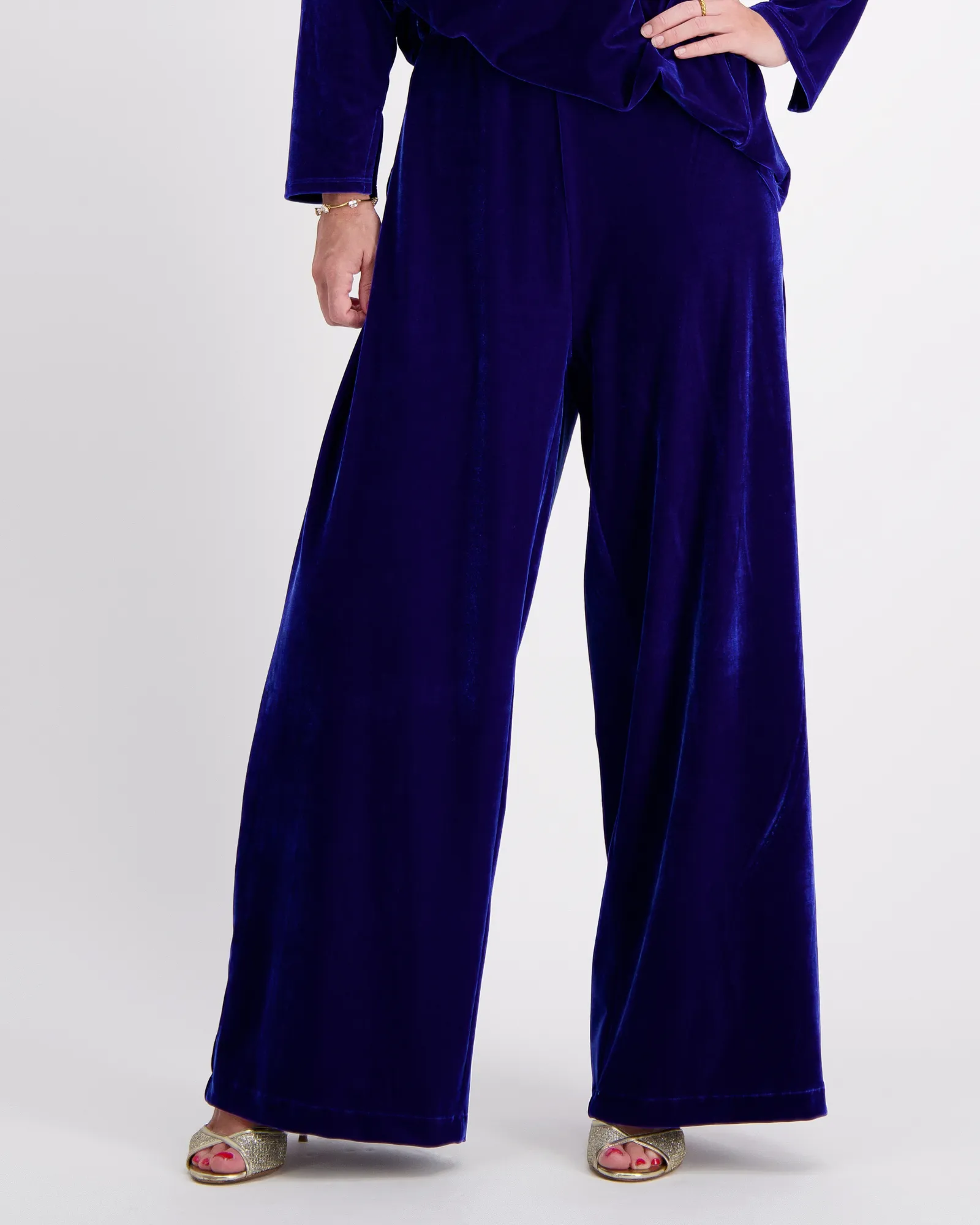 Jessie Adaptive Wide Leg Velvet Pants | Wheelchair-Friendly Luxury Evening Wear