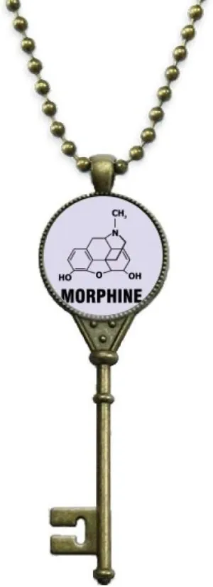 Molecular Structure Morphine Chemical Substance Key Necklace Pendant Tray Embellished Chain