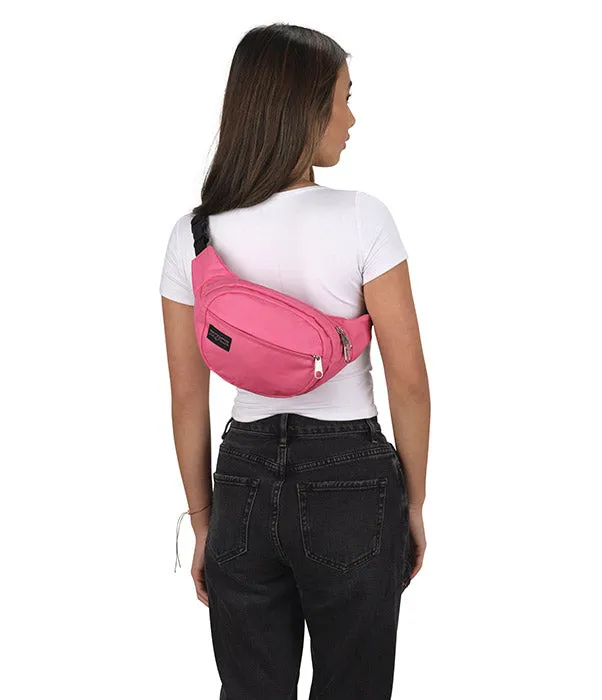 Mono Fifth Avenue Fanny Pack