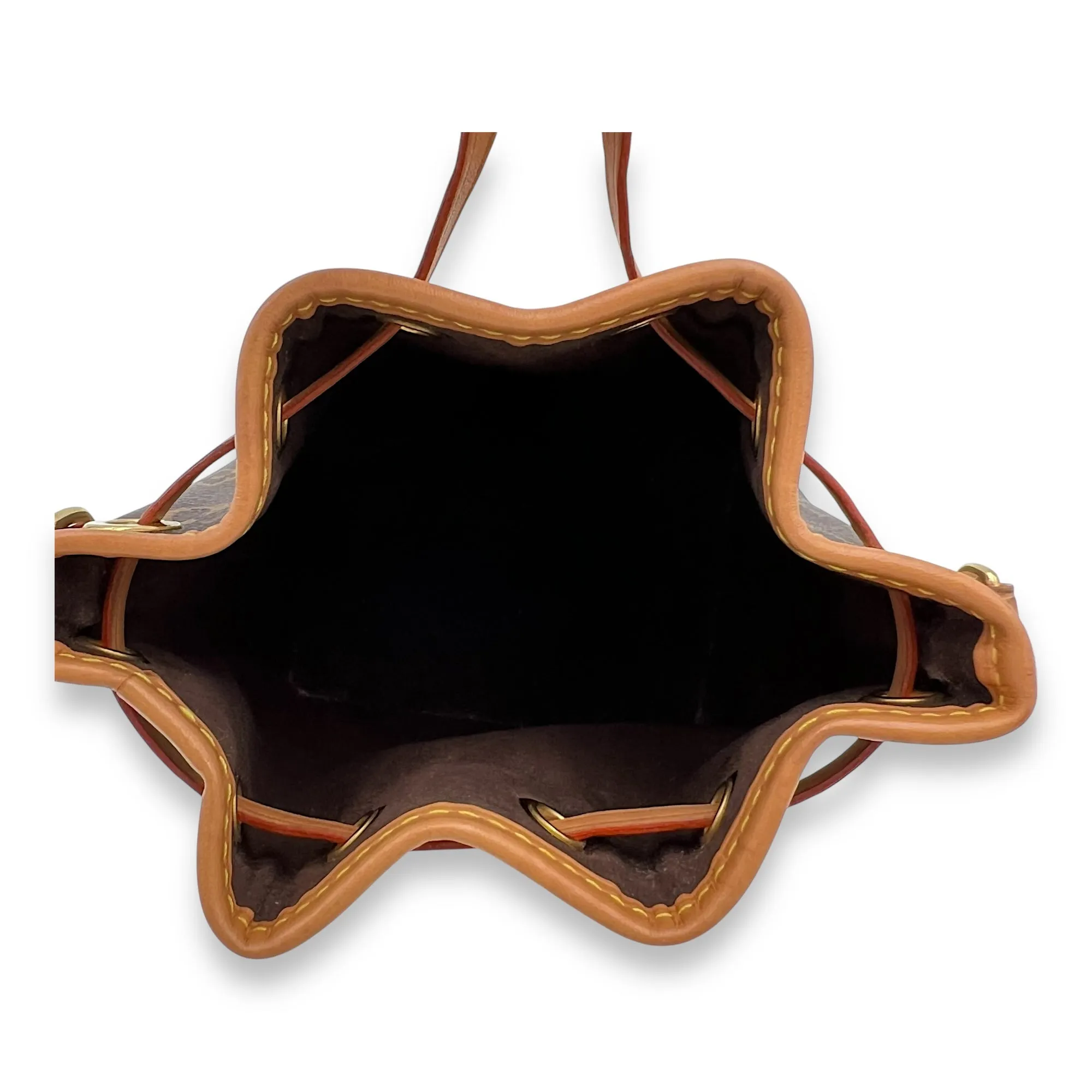 Noe Bucket Bag Nano Brown in Monogram Coated Canvas, Gold hardware
