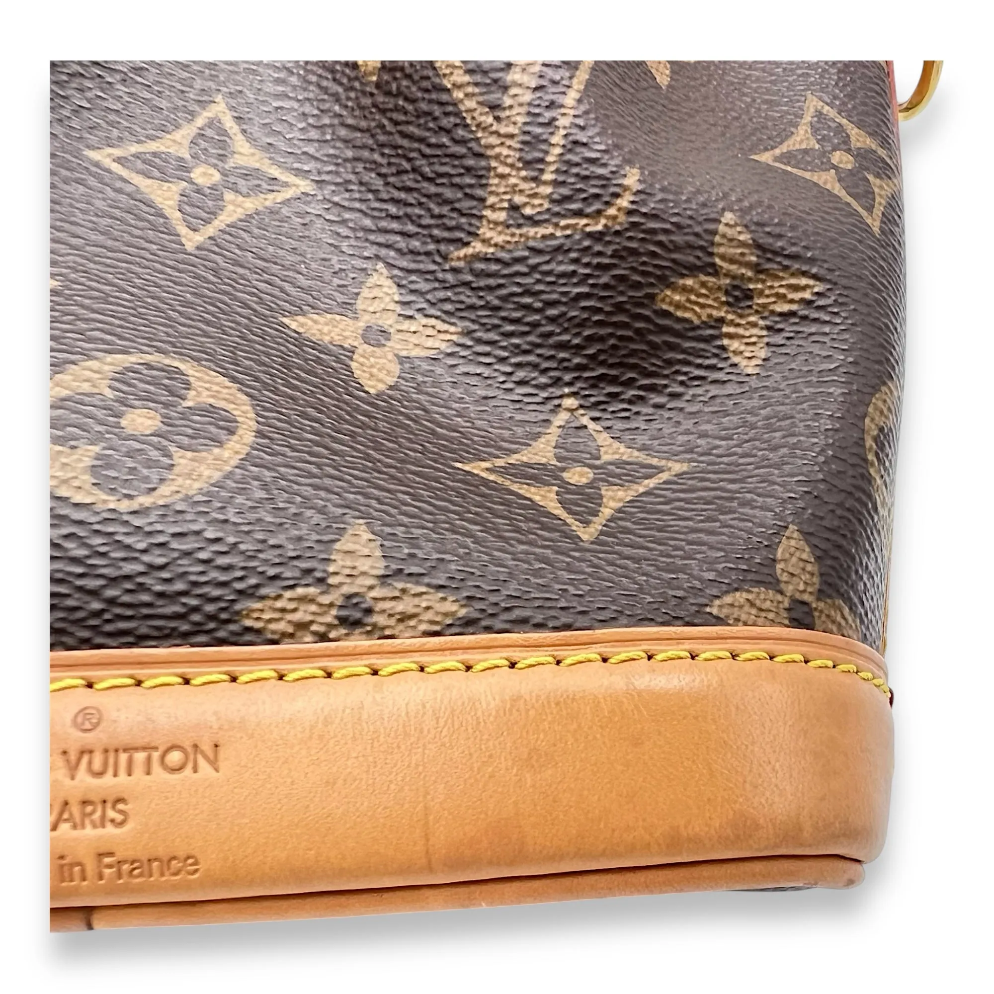 Noe Bucket Bag Nano Brown in Monogram Coated Canvas, Gold hardware