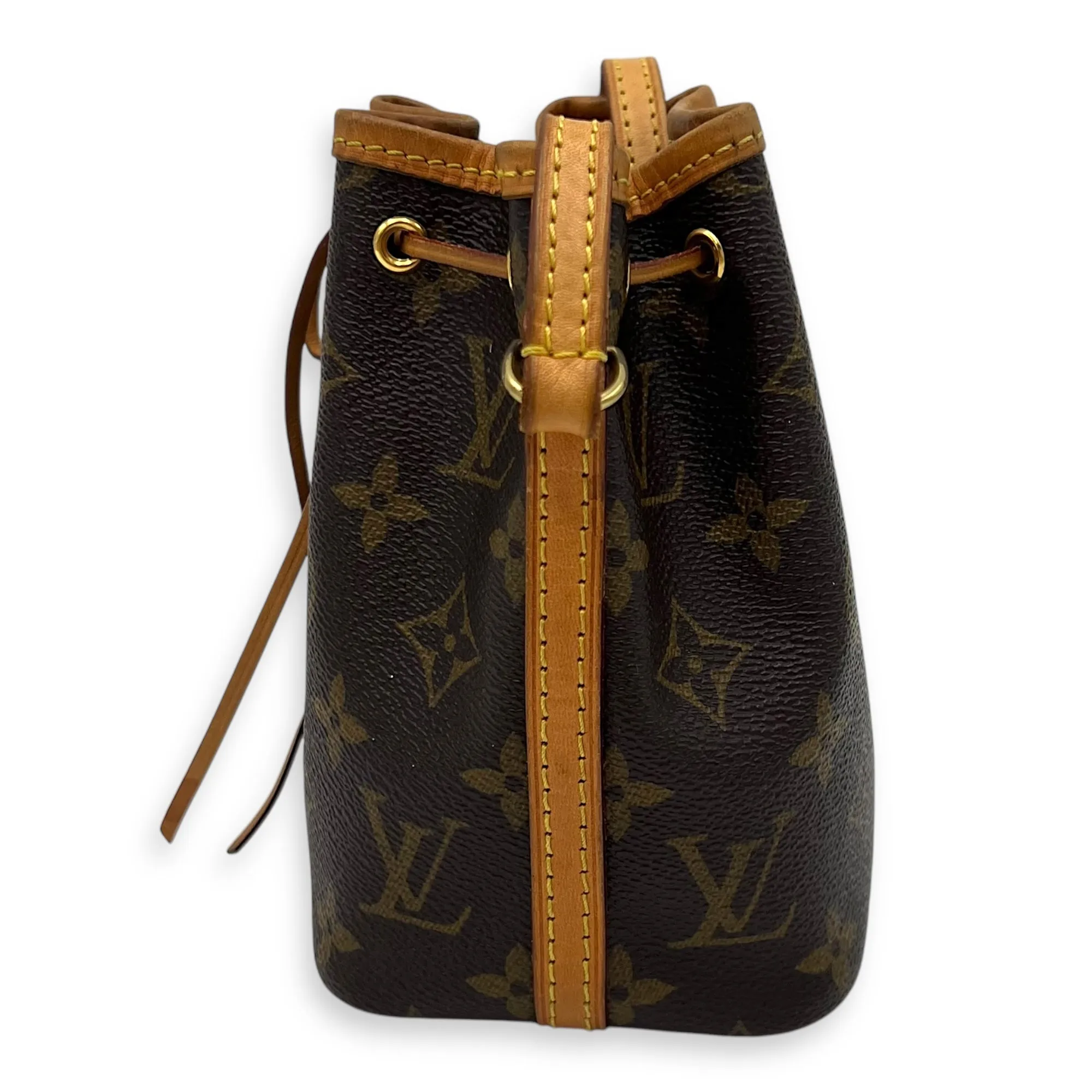 Noe Nano Brown Bucket Bag in Monogram Coated Canvas, Gold hardware