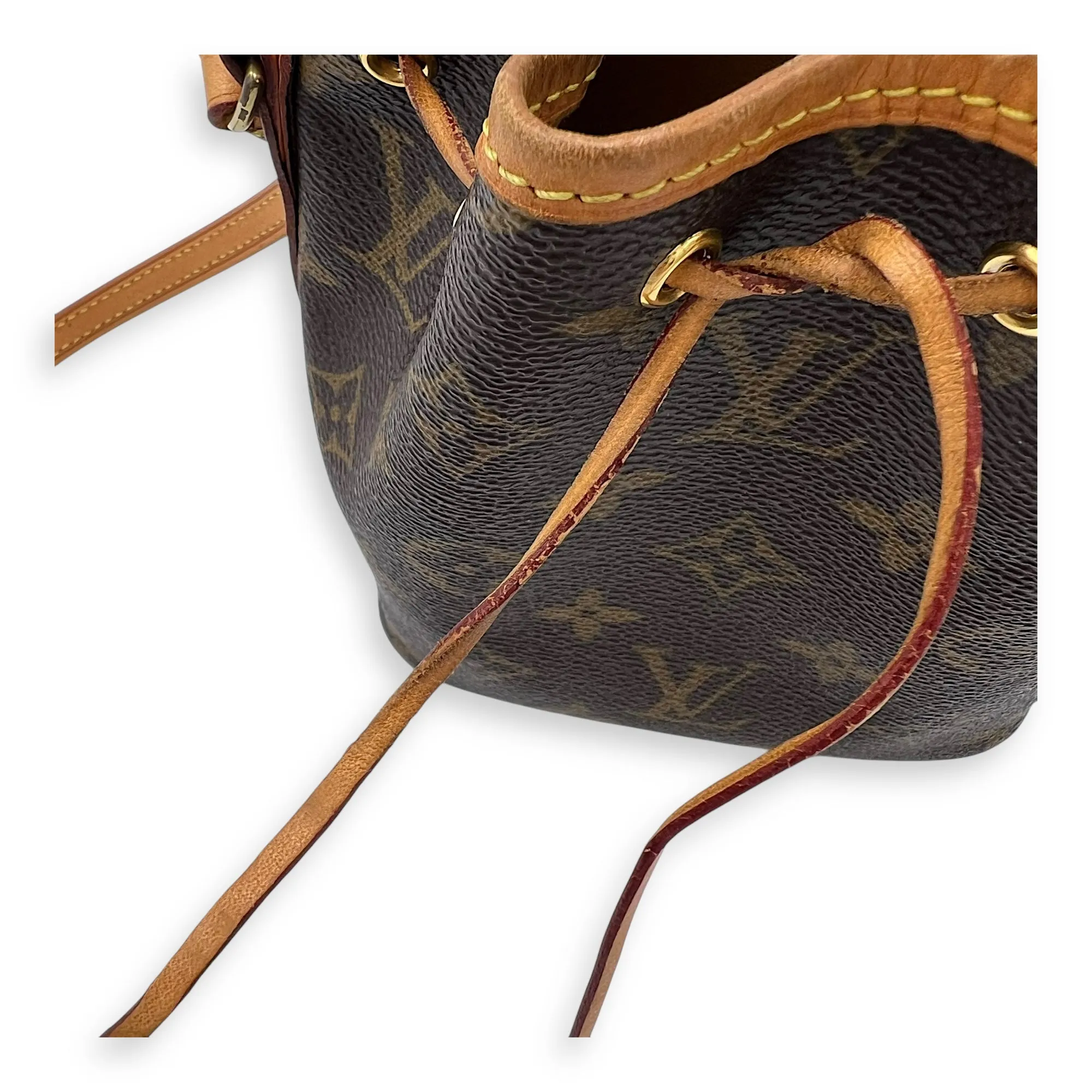 Noe Nano Brown Bucket Bag in Monogram Coated Canvas, Gold hardware