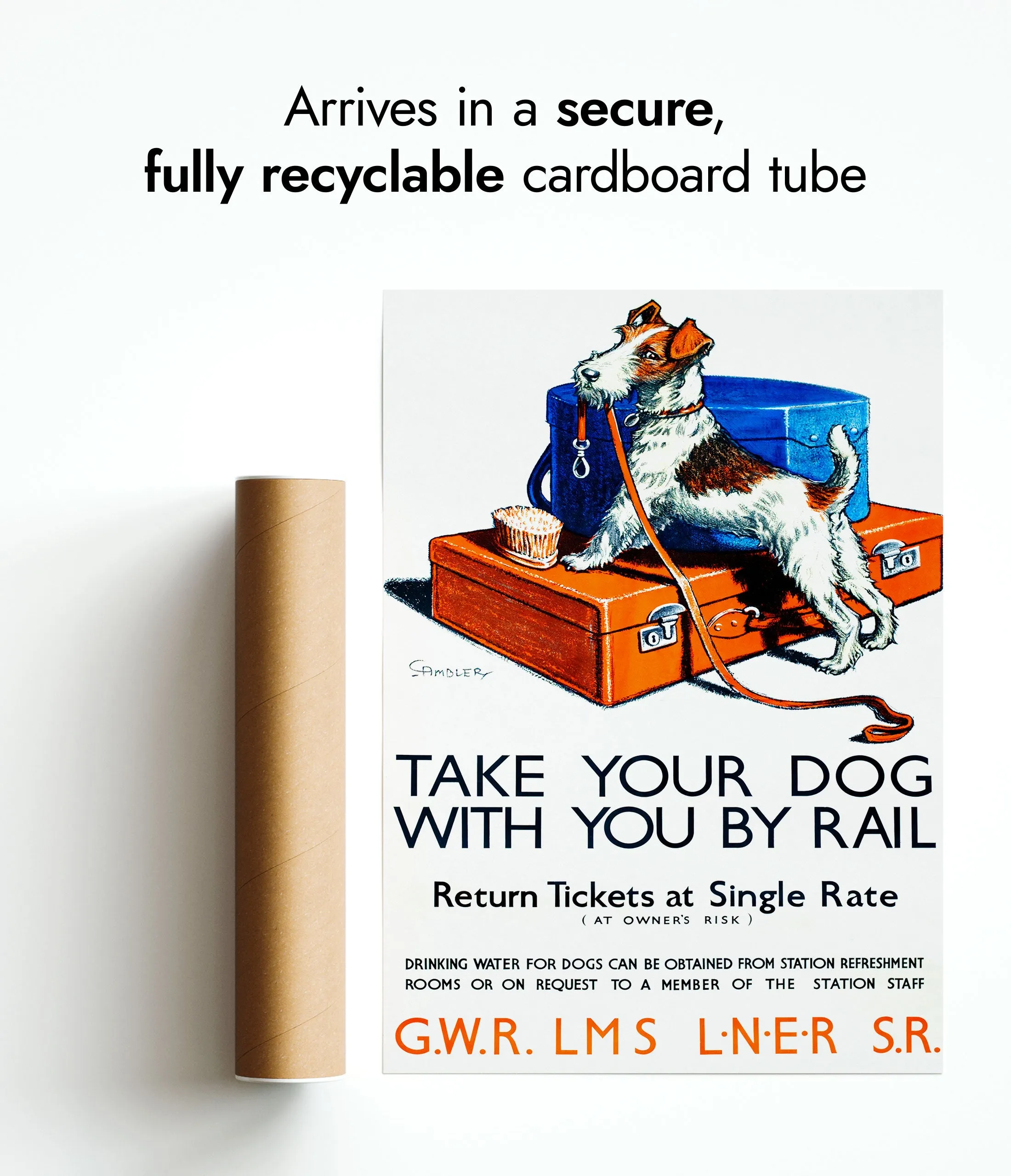 Take Your Dog With You