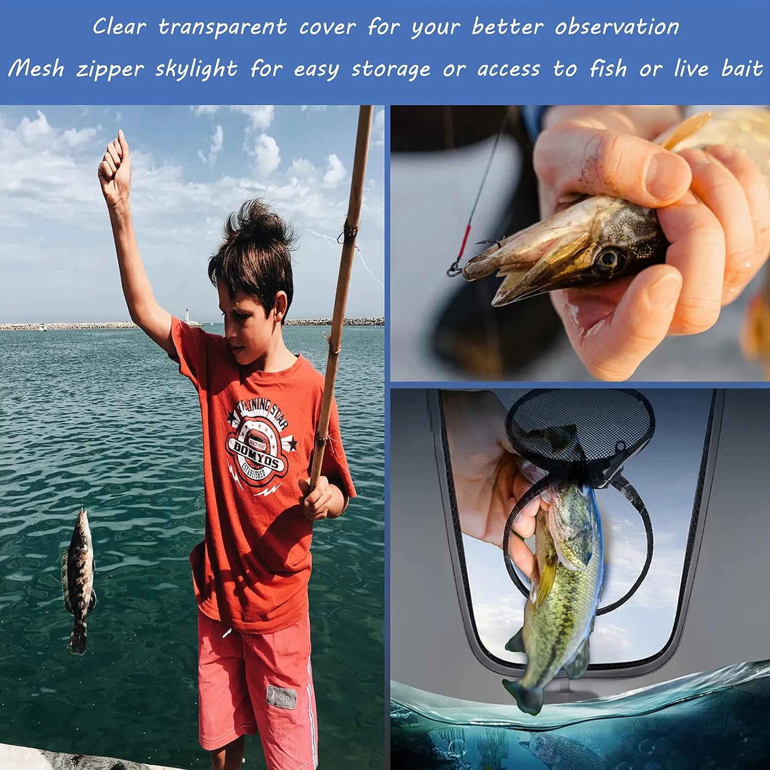 Transparent Top Cover Fishing Bucket, Foldable Fish Bait Bucket, Multifunctional Minnow Bucket, Live Fish Container, Fish Protection Bucket, Outdoor Camping Fishing Bag. (Blue, 6 Gallon)