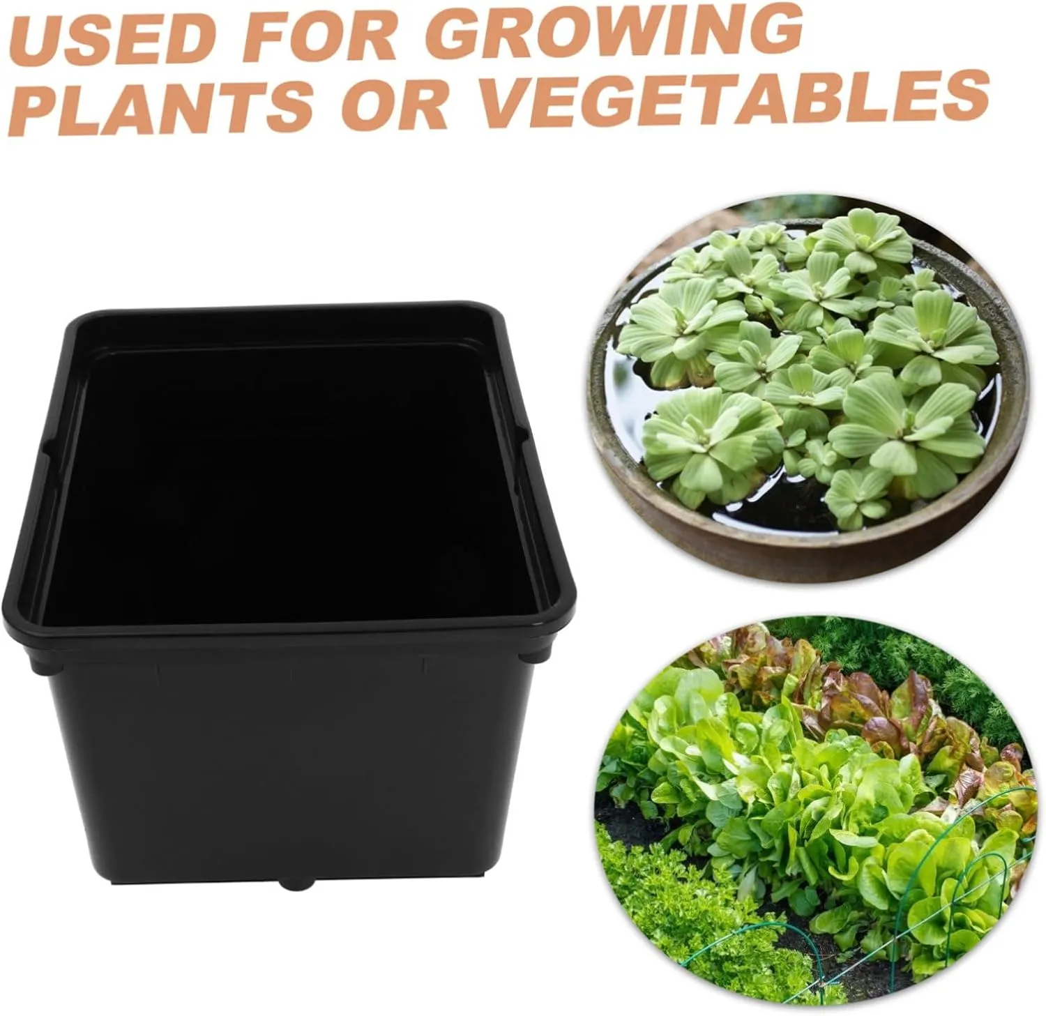 Vegetable Bucket 2pcs Black Soilless Culture Barrel Pp Plastic Anti-Aging