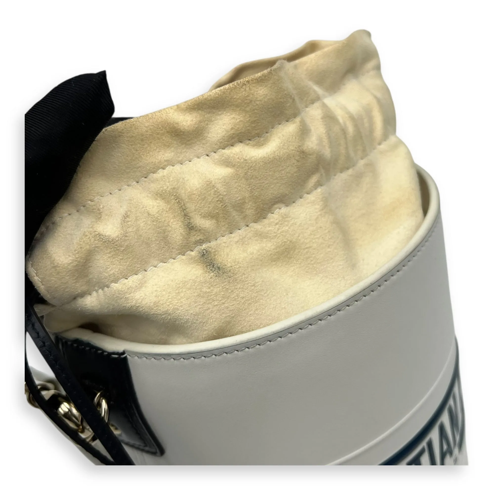 Vibe Bucket Bag White in Calfskin, Gold hardware